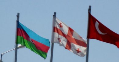 საქართველოში თურქული და აზერბაიჯანული ინვესტიციები გაორმაგდა