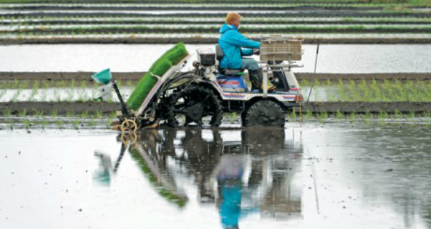 იაპონელი ფერმერების შემდეგი თაობა შესაძლოა რობოტები იყვნენ